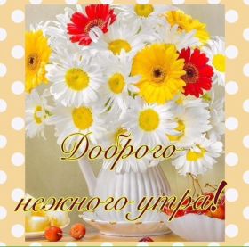 Открытка. Открытки доброе утро Открытка доброе утро, картинка с добрым утром, надпись доброе утро Открытка доброе утро, открытка с добрым утром, картинка доброе утро, картинка с добрым утром, надпись доброе утро, надпись с добрым утром, картинка завтрак, пожелание доброго утра