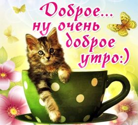 Открытка. Открытки доброе утро Открытка доброе утро, картинка с добрым утром, надпись доброе утро Открытка доброе утро, открытка с добрым утром, картинка доброе утро, картинка с добрым утром, надпись доброе утро, надпись с добрым утром, картинка завтрак, пожелание доброго утра
