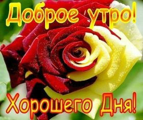 Открытка. Открытки доброе утро Открытка доброе утро, картинка с добрым утром, надпись доброе утро Открытка доброе утро, открытка с добрым утром, картинка доброе утро, картинка с добрым утром, надпись доброе утро, надпись с добрым утром, картинка завтрак, пожелание доброго утра