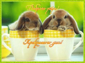 Открытка. Открытки доброе утро Открытка доброе утро, картинка с добрым утром, надпись доброе утро Открытка доброе утро, открытка с добрым утром, картинка доброе утро, картинка с добрым утром, надпись доброе утро, надпись с добрым утром, картинка завтрак, пожелание доброго утра