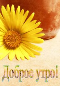 Открытка. Открытки доброе утро Открытка доброе утро, картинка с добрым утром, надпись доброе утро Открытка доброе утро, открытка с добрым утром, картинка доброе утро, картинка с добрым утром, надпись доброе утро, надпись с добрым утром, картинка завтрак, пожелание доброго утра