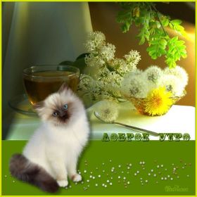 Открытка. Открытки доброе утро Открытка доброе утро, картинка с добрым утром, надпись доброе утро Открытка доброе утро, открытка с добрым утром, картинка доброе утро, картинка с добрым утром, надпись доброе утро, надпись с добрым утром, картинка завтрак, пожелание доброго утра