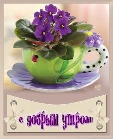 Открытка. Открытки доброе утро Открытка доброе утро, картинка с добрым утром, надпись доброе утро Открытка доброе утро, открытка с добрым утром, картинка доброе утро, картинка с добрым утром, надпись доброе утро, надпись с добрым утром, картинка завтрак, пожелание доброго утра