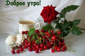 Открытка. Открытки доброе утро Открытка доброе утро, картинка с добрым утром, надпись доброе утро Открытка доброе утро, открытка с добрым утром, картинка доброе утро, картинка с добрым утром, надпись доброе утро, надпись с добрым утром, картинка завтрак, пожелание доброго утра