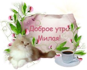 Открытка. Открытки доброе утро Открытка доброе утро, картинка с добрым утром, надпись доброе утро Открытка доброе утро, открытка с добрым утром, картинка доброе утро, картинка с добрым утром, надпись доброе утро, надпись с добрым утром, картинка завтрак, пожелание доброго утра