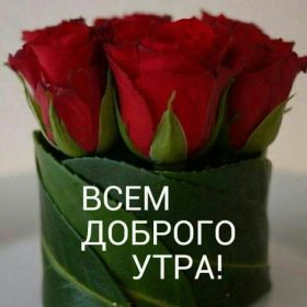 Открытка. Открытки доброе утро Открытка доброе утро, картинка с добрым утром, надпись доброе утро Открытка доброе утро, открытка с добрым утром, картинка доброе утро, картинка с добрым утром, надпись доброе утро, надпись с добрым утром, картинка завтрак, пожелание доброго утра