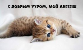 Открытка. Открытки доброе утро Открытка доброе утро, картинка с добрым утром, надпись доброе утро Открытка доброе утро, открытка с добрым утром, картинка доброе утро, картинка с добрым утром, надпись доброе утро, надпись с добрым утром, картинка завтрак, пожелание доброго утра