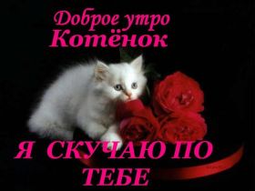 Открытка. Открытки доброе утро Открытка доброе утро, картинка с добрым утром, надпись доброе утро Открытка доброе утро, открытка с добрым утром, картинка доброе утро, картинка с добрым утром, надпись доброе утро, надпись с добрым утром, картинка завтрак, пожелание доброго утра