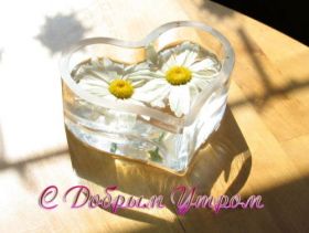 Открытка. Открытки доброе утро Открытка доброе утро, картинка с добрым утром, надпись доброе утро Открытка доброе утро, открытка с добрым утром, картинка доброе утро, картинка с добрым утром, надпись доброе утро, надпись с добрым утром, картинка завтрак, пожелание доброго утра