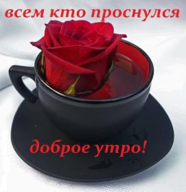 Открытка. Открытки доброе утро Открытка доброе утро, картинка с добрым утром, надпись доброе утро Открытка доброе утро, открытка с добрым утром, картинка доброе утро, картинка с добрым утром, надпись доброе утро, надпись с добрым утром, картинка завтрак, пожелание доброго утра