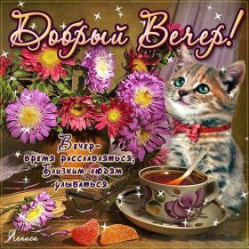 Открытка. Открытки добрый вечер Открытка добрый вечер, картинка доброго вечера, надпись добрый вечер Открытка добрый вечер, картинка доброго вечера, надпись добрый вечер, пожелание доброго вечера, картинка хорошего вечера, картинка нескучного вечера, картинка приятного вечера