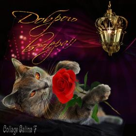 Открытка. Открытки добрый вечер Открытка добрый вечер, картинка доброго вечера, надпись добрый вечер Открытка добрый вечер, картинка доброго вечера, надпись добрый вечер, пожелание доброго вечера, картинка хорошего вечера, картинка нескучного вечера, картинка приятного вечера