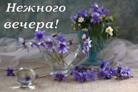 Открытка. Открытки добрый вечер Открытка добрый вечер, картинка доброго вечера, надпись добрый вечер Открытка добрый вечер, картинка доброго вечера, надпись добрый вечер, пожелание доброго вечера, картинка хорошего вечера, картинка нескучного вечера, картинка приятного вечера