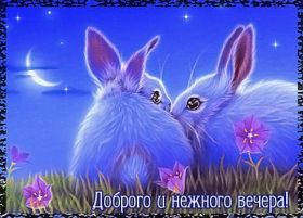 Открытка. Открытки добрый вечер Открытка добрый вечер, картинка доброго вечера, надпись добрый вечер Открытка добрый вечер, картинка доброго вечера, надпись добрый вечер, пожелание доброго вечера, картинка хорошего вечера, картинка нескучного вечера, картинка приятного вечера