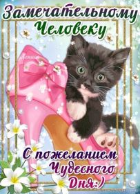 Открытка. Открытки добрый день Открытка с пожеланиями хорошего дня, желаю доброго дня, картинка удачного дня Открытка добрый день, открытка хорошего дня, открытка доброго дня, открытка с пожеланиями удачного дня, открытка удачного дня, надпись хорошего дня, надпись добрый день, картинка добрый день, картинка хорошего дня