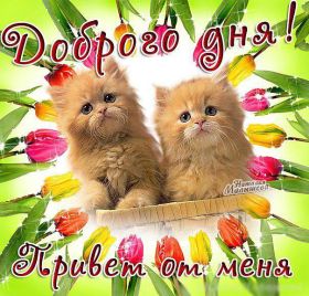 Открытка. Открытки добрый день Открытка с пожеланиями хорошего дня, желаю доброго дня, картинка удачного дня Открытка добрый день, открытка хорошего дня, открытка доброго дня, открытка с пожеланиями удачного дня, открытка удачного дня, надпись хорошего дня, надпись добрый день, картинка добрый день, картинка хорошего дня