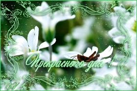 Открытка. Открытки добрый день Открытка с пожеланиями хорошего дня, желаю доброго дня, картинка удачного дня Открытка добрый день, открытка хорошего дня, открытка доброго дня, открытка с пожеланиями удачного дня, открытка удачного дня, надпись хорошего дня, надпись добрый день, картинка добрый день, картинка хорошего дня