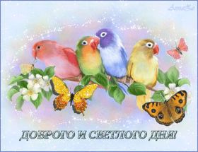Открытка. Открытки добрый день Открытка с пожеланиями хорошего дня, желаю доброго дня, картинка удачного дня Открытка добрый день, открытка хорошего дня, открытка доброго дня, открытка с пожеланиями удачного дня, открытка удачного дня, надпись хорошего дня, надпись добрый день, картинка добрый день, картинка хорошего дня