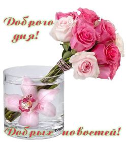 Открытка. Открытки добрый день Открытка с пожеланиями хорошего дня, желаю доброго дня, картинка удачного дня Открытка добрый день, открытка хорошего дня, открытка доброго дня, открытка с пожеланиями удачного дня, открытка удачного дня, надпись хорошего дня, надпись добрый день, картинка добрый день, картинка хорошего дня