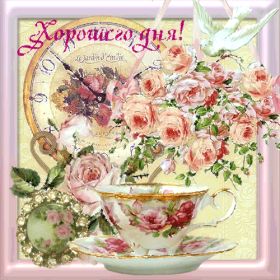 Открытка. Открытки добрый день Открытка с пожеланиями хорошего дня, желаю доброго дня, картинка удачного дня Открытка добрый день, открытка хорошего дня, открытка доброго дня, открытка с пожеланиями удачного дня, открытка удачного дня, надпись хорошего дня, надпись добрый день, картинка добрый день, картинка хорошего дня