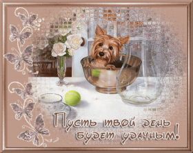 Открытка. Открытки добрый день Открытка с пожеланиями хорошего дня, желаю доброго дня, картинка удачного дня Открытка добрый день, открытка хорошего дня, открытка доброго дня, открытка с пожеланиями удачного дня, открытка удачного дня, надпись хорошего дня, надпись добрый день, картинка добрый день, картинка хорошего дня