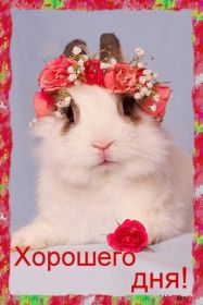 Открытка. Открытки добрый день Открытка с пожеланиями хорошего дня, желаю доброго дня, картинка удачного дня Открытка добрый день, открытка хорошего дня, открытка доброго дня, открытка с пожеланиями удачного дня, открытка удачного дня, надпись хорошего дня, надпись добрый день, картинка добрый день, картинка хорошего дня