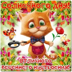 Открытка. Открытки добрый день Открытка с пожеланиями хорошего дня, желаю доброго дня, картинка удачного дня Открытка добрый день, открытка хорошего дня, открытка доброго дня, открытка с пожеланиями удачного дня, открытка удачного дня, надпись хорошего дня, надпись добрый день, картинка добрый день, картинка хорошего дня