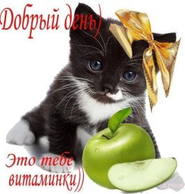 Открытка. Открытки добрый день Открытка с пожеланиями хорошего дня, желаю доброго дня, картинка удачного дня Открытка добрый день, открытка хорошего дня, открытка доброго дня, открытка с пожеланиями удачного дня, открытка удачного дня, надпись хорошего дня, надпись добрый день, картинка добрый день, картинка хорошего дня