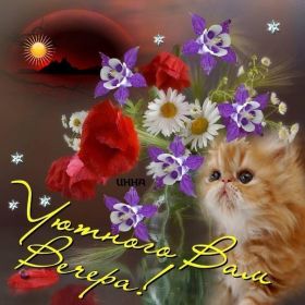 Открытка. Открытки добрый день Открытка с пожеланиями хорошего дня, желаю доброго дня, картинка удачного дня Открытка добрый день, открытка хорошего дня, открытка доброго дня, открытка с пожеланиями удачного дня, открытка удачного дня, надпись хорошего дня, надпись добрый день, картинка добрый день, картинка хорошего дня