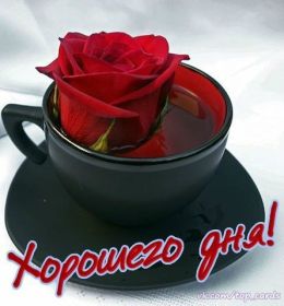 Открытка. Открытки добрый день Открытка с пожеланиями хорошего дня, желаю доброго дня, картинка удачного дня Открытка добрый день, открытка хорошего дня, открытка доброго дня, открытка с пожеланиями удачного дня, открытка удачного дня, надпись хорошего дня, надпись добрый день, картинка добрый день, картинка хорошего дня