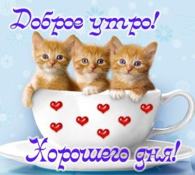 Открытка. Открытки добрый день Открытка с пожеланиями хорошего дня, желаю доброго дня, картинка удачного дня Открытка добрый день, открытка хорошего дня, открытка доброго дня, открытка с пожеланиями удачного дня, открытка удачного дня, надпись хорошего дня, надпись добрый день, картинка добрый день, картинка хорошего дня