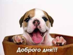 Открытка. Открытки добрый день Открытка с пожеланиями хорошего дня, желаю доброго дня, картинка удачного дня Открытка добрый день, открытка хорошего дня, открытка доброго дня, открытка с пожеланиями удачного дня, открытка удачного дня, надпись хорошего дня, надпись добрый день, картинка добрый день, картинка хорошего дня