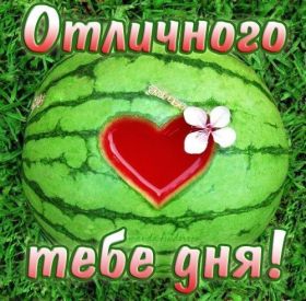 Открытка. Открытки добрый день Открытка с пожеланиями хорошего дня, желаю доброго дня, картинка удачного дня Открытка добрый день, открытка хорошего дня, открытка доброго дня, открытка с пожеланиями удачного дня, открытка удачного дня, надпись хорошего дня, надпись добрый день, картинка добрый день, картинка хорошего дня