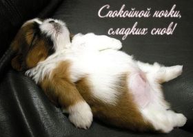 Открытка. Открытки спокойной ночи Открытка спокойной ночи, картинка спокойной ночи, надпись спокойной ночи Открытка спокойной ночи, картинка спокойной ночи, надпись спокойной ночи, картинка сладких снов, надпись сладких снов, открытка сладких снов, картинка доброй ночи, желаю спокойной ночи