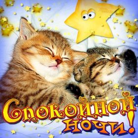 Открытка. Открытки спокойной ночи Открытка спокойной ночи, картинка спокойной ночи, надпись спокойной ночи Открытка спокойной ночи, картинка спокойной ночи, надпись спокойной ночи, картинка сладких снов, надпись сладких снов, открытка сладких снов, картинка доброй ночи, желаю спокойной ночи