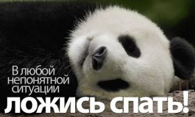 Открытка. Открытки спокойной ночи Открытка спокойной ночи, картинка спокойной ночи, надпись спокойной ночи Открытка спокойной ночи, картинка спокойной ночи, надпись спокойной ночи, картинка сладких снов, надпись сладких снов, открытка сладких снов, картинка доброй ночи, желаю спокойной ночи