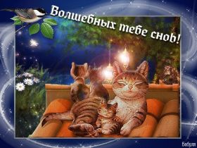 Открытка. Открытки спокойной ночи Открытка спокойной ночи, картинка спокойной ночи, надпись спокойной ночи Открытка спокойной ночи, картинка спокойной ночи, надпись спокойной ночи, картинка сладких снов, надпись сладких снов, открытка сладких снов, картинка доброй ночи, желаю спокойной ночи