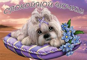 Открытка. Открытки спокойной ночи Открытка спокойной ночи, картинка спокойной ночи, надпись спокойной ночи Открытка спокойной ночи, картинка спокойной ночи, надпись спокойной ночи, картинка сладких снов, надпись сладких снов, открытка сладких снов, картинка доброй ночи, желаю спокойной ночи