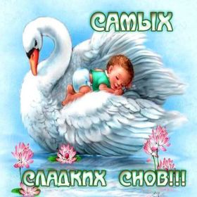 Открытка. Открытки спокойной ночи Открытка спокойной ночи, картинка спокойной ночи, надпись спокойной ночи Открытка спокойной ночи, картинка спокойной ночи, надпись спокойной ночи, картинка сладких снов, надпись сладких снов, открытка сладких снов, картинка доброй ночи, желаю спокойной ночи