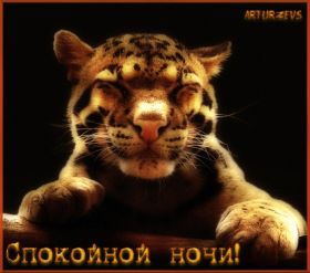 Открытка. Открытки спокойной ночи Открытка спокойной ночи, картинка спокойной ночи, надпись спокойной ночи Открытка спокойной ночи, картинка спокойной ночи, надпись спокойной ночи, картинка сладких снов, надпись сладких снов, открытка сладких снов, картинка доброй ночи, желаю спокойной ночи