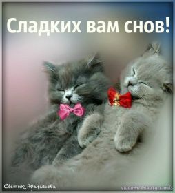 Открытка. Открытки спокойной ночи Открытка спокойной ночи, картинка спокойной ночи, надпись спокойной ночи Открытка спокойной ночи, картинка спокойной ночи, надпись спокойной ночи, картинка сладких снов, надпись сладких снов, открытка сладких снов, картинка доброй ночи, желаю спокойной ночи