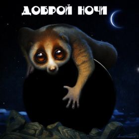 Открытка. Открытки спокойной ночи Открытка спокойной ночи, картинка спокойной ночи, надпись спокойной ночи Открытка спокойной ночи, картинка спокойной ночи, надпись спокойной ночи, картинка сладких снов, надпись сладких снов, открытка сладких снов, картинка доброй ночи, желаю спокойной ночи