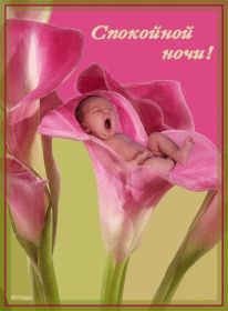 Открытка. Открытки спокойной ночи Открытка спокойной ночи, картинка спокойной ночи, надпись спокойной ночи Открытка спокойной ночи, картинка спокойной ночи, надпись спокойной ночи, картинка сладких снов, надпись сладких снов, открытка сладких снов, картинка доброй ночи, желаю спокойной ночи