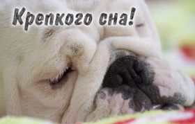 Открытка. Открытки спокойной ночи Открытка спокойной ночи, картинка спокойной ночи, надпись спокойной ночи Открытка спокойной ночи, картинка спокойной ночи, надпись спокойной ночи, картинка сладких снов, надпись сладких снов, открытка сладких снов, картинка доброй ночи, желаю спокойной ночи