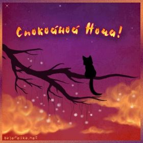 Открытка. Открытки спокойной ночи Открытка спокойной ночи, картинка спокойной ночи, надпись спокойной ночи Открытка спокойной ночи, картинка спокойной ночи, надпись спокойной ночи, картинка сладких снов, надпись сладких снов, открытка сладких снов, картинка доброй ночи, желаю спокойной ночи