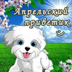 Открытка. Открытка Привет! Открытка Апрельский привет, открытка Апрельский приветик, надпись Апрельский привет, картинка Апрельский приветик Открытка Апрельский привет, открытка Апрельский приветик, надпись Апрельский привет, надпись Апрельский приветик, картинка Апрельский приветик, картинка Апрельский привет, апрель, Апрельский привет