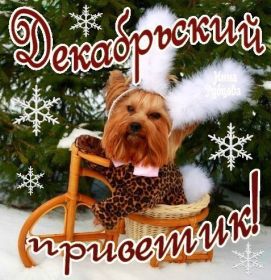 Открытка. Открытка Привет! Открытка Декабрьский привет, открытка Декабрьский приветик, надпись Декабрьский привет, картинка Декабрьский приветик Открытка Декабрьский привет, открытка Декабрьский приветик, надпись Декабрьский привет, надпись Декабрьский приветик, картинка Декабрьский приветик, картинка Декабрьский привет, декабрь, Декабрьский привет