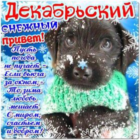 Открытка. Открытка Привет! Открытка Декабрьский привет, открытка Декабрьский приветик, надпись Декабрьский привет, картинка Декабрьский приветик Открытка Декабрьский привет, открытка Декабрьский приветик, надпись Декабрьский привет, надпись Декабрьский приветик, картинка Декабрьский приветик, картинка Декабрьский привет, декабрь, Декабрьский привет