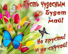 Открытка. Открытка Привет! Открытка Майский привет, открытка Майский приветик, надпись Майский привет, картинка Майский приветик Открытка Майский привет, открытка Майский приветик, надпись Майский привет, надпись Майский приветик, картинка Майский приветик, картинка Майский привет, май, Майский привет