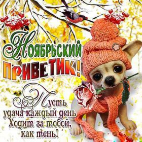 Открытка. Открытка Привет! Открытка Ноябрьский привет, открытка Ноябрьский приветик, надпись Ноябрьский привет, картинка Ноябрьский приветик Открытка Ноябрьский привет, открытка Ноябрьский приветик, надпись Ноябрьский привет, надпись Ноябрьский приветик, картинка Ноябрьский приветик, картинка Ноябрьский привет, ноябрь, Ноябрьский привет